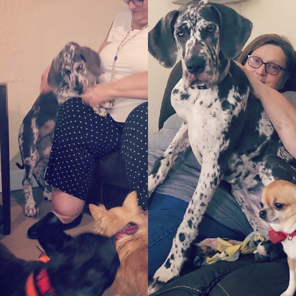 My baby needs surgery! - Picture 10 of 10